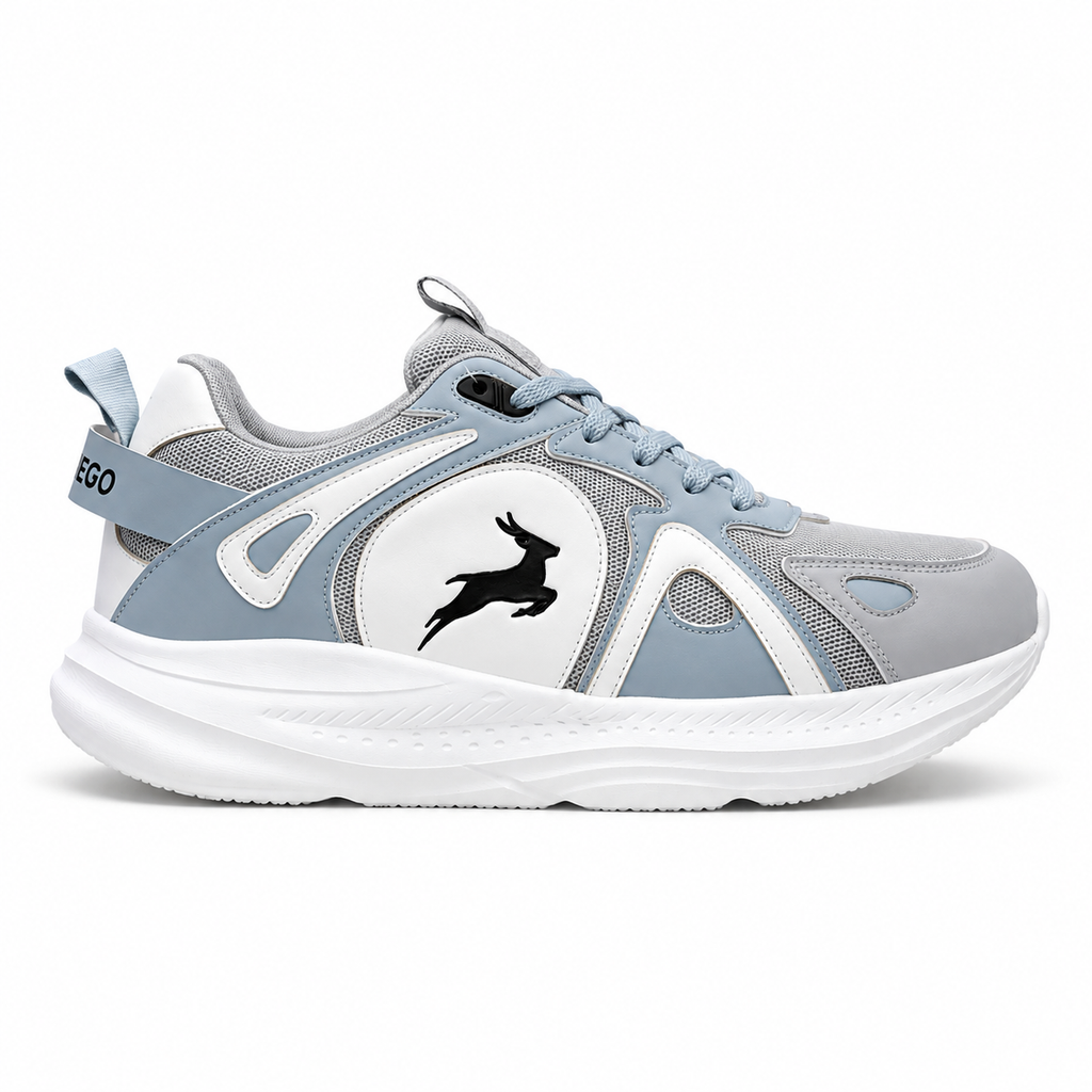 ICON ARCTIC