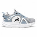 ICON ARCTIC