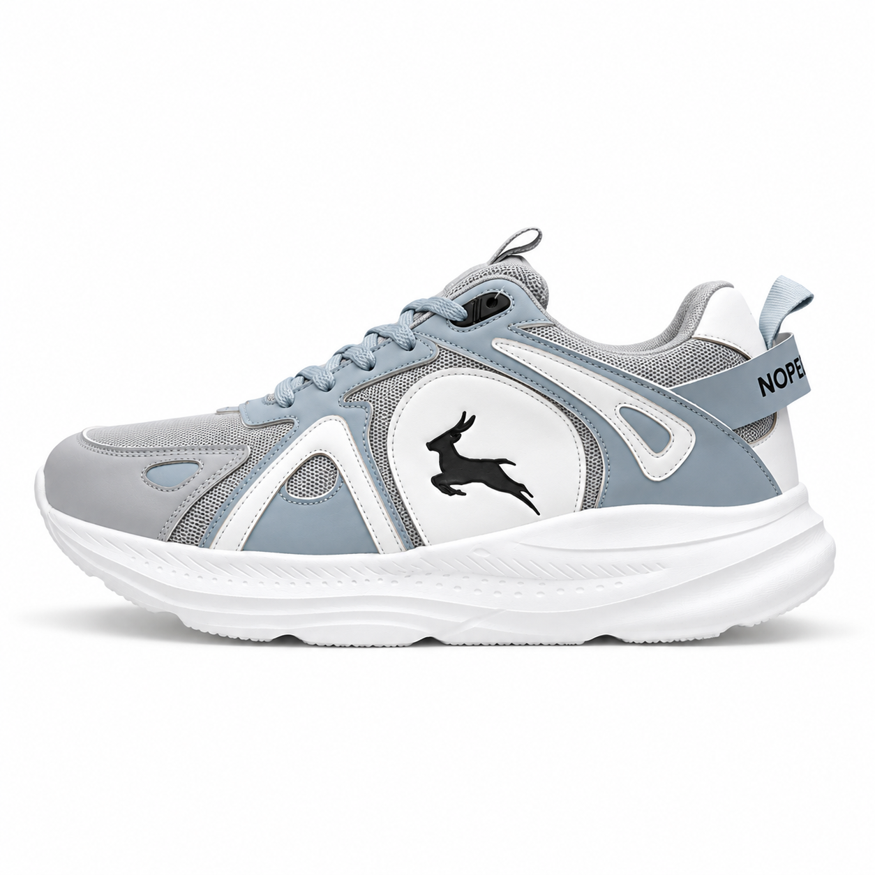 ICON ARCTIC
