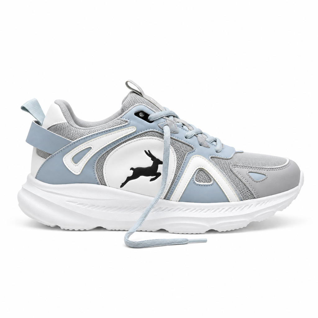 ICON ARCTIC