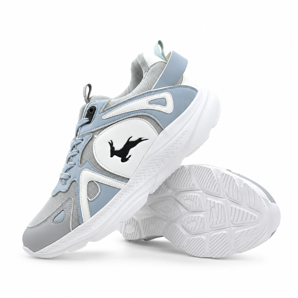 ICON ARCTIC