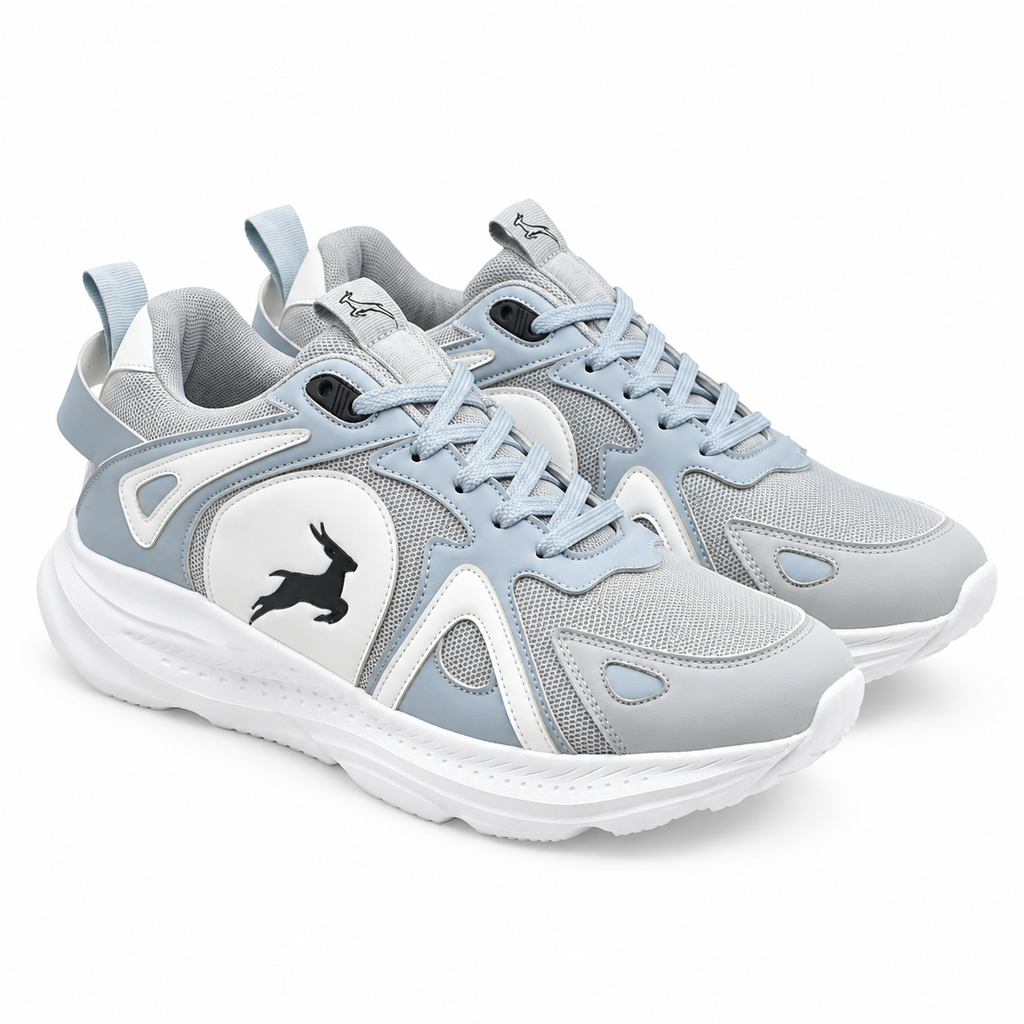 ICON ARCTIC